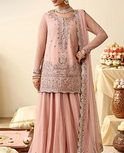 Rose Pink Net Suit