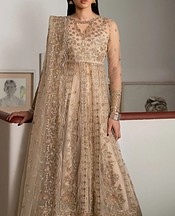 Ayzel Fawn Net Suit- Pakistani Chiffon Dress