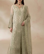 Grey Chiffon Suit