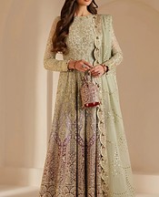 Light Green Chiffon Suit