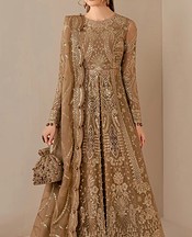 Sand Gold Organza Suit
