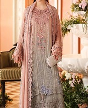 Pink/Grey Chiffon Suit