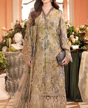 Beige Chiffon Suit