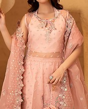 Pink Organza Suit