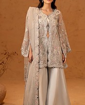 Grey Organza Suit