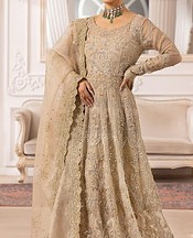 Ivory Organza Suit