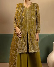 Olive Green Chiffon Suit