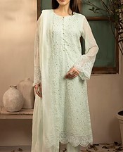 Light Green Chiffon Suit