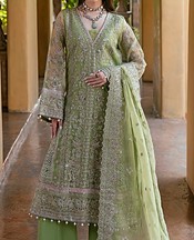 Mint Green Organza Suit