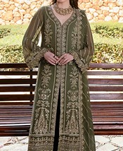 Green Chiffon Suit