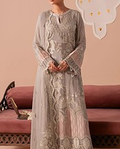 Light Grey Chiffon Suit