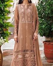 Tan Chiffon Suit