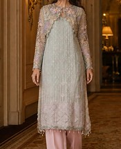 Threads and Motifs Light Grey Net Suit- Pakistani Designer Chiffon Suit