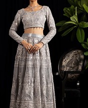 Threads and Motifs Grey Net Suit- Pakistani Designer Chiffon Suit