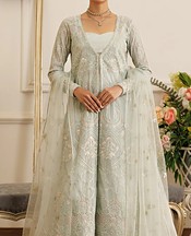 Threads and Motifs Light Turquoise Net Suit- Pakistani Chiffon Dress