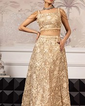 Threads and Motifs Golden Net Suit- Pakistani Chiffon Dress