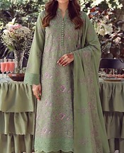 VS Textile Sage Green Karandi Suit- Pakistani Winter Clothing