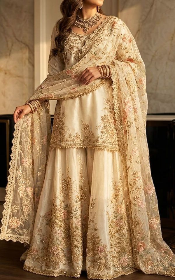 Pakistani Chiffon Dresses