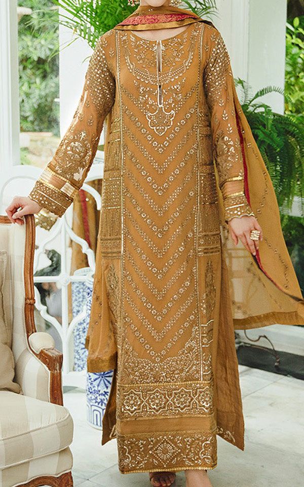 Pakistani Chiffon Dresses