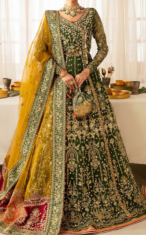 Pakistani Chiffon Dresses