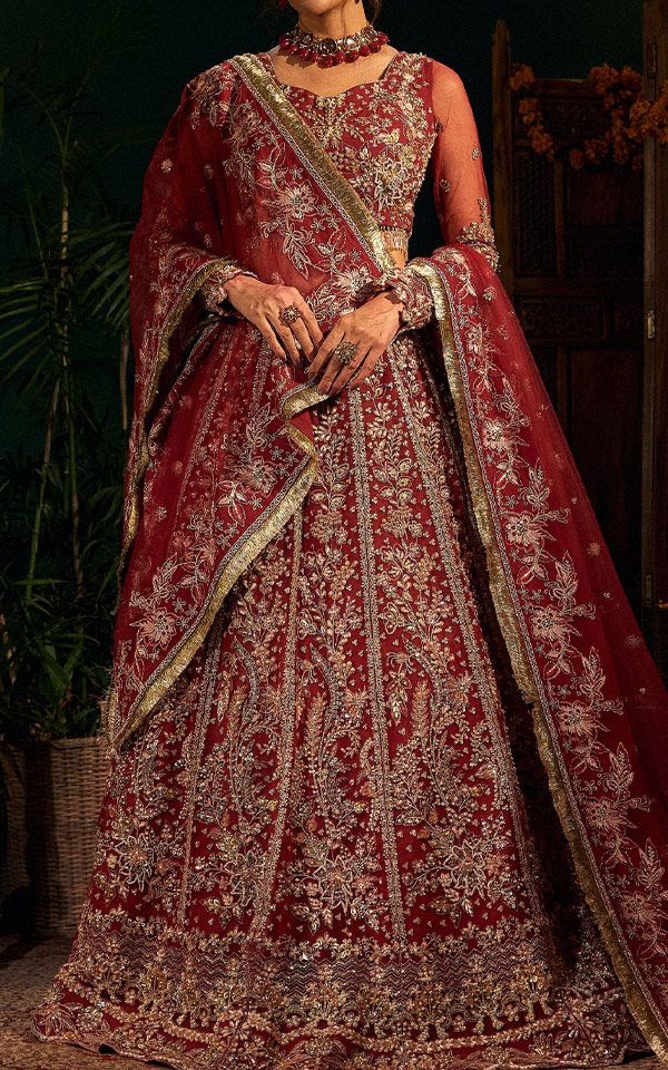 Pakistani Chiffon Dresses