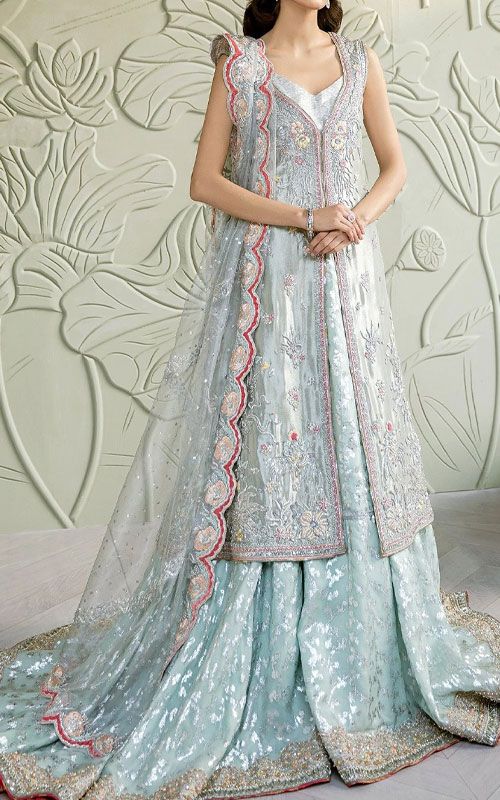 Pakistan Party Chiffon Dresses