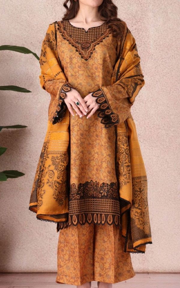 Pakistan Winter Dresses