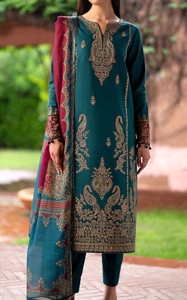 Pakistani Desi Winter Dresses