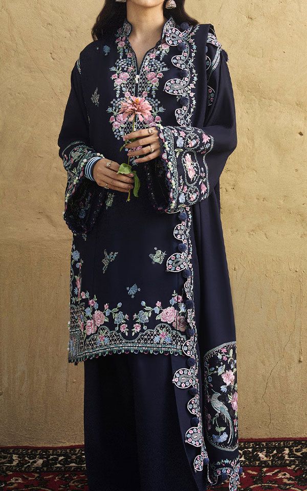 Pakistani Modern Winter Dresses