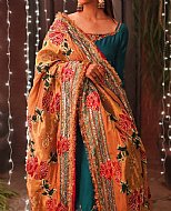 The Future of Pakistani Clothing in the USA - What Trends Will Dominate in the Next Decade