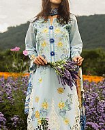 The Cultural Significance of Pakistani Lawn Suits