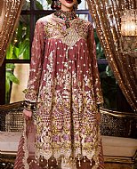 Pakistani Chiffon Dresses Are Available in Numerous Designs
