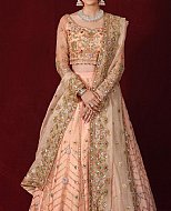 Pakistani Wedding Clothes - Fantastic Colours and Fabolous Designs