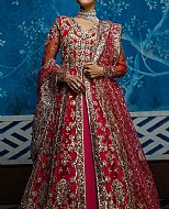 How Pakistani Wedding Dresses are Captivating Brides in the USA