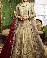 How To Choose the Perfect Lehenga for Every Occasion? Unveiling The Truth