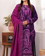 How to Choose Pakistani Winter Clothes for Different US Climate Zones