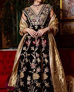 Top Pakistani Winter Dress Trends in the USA