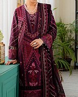 Pakistani Winter Suits - A Feel of Warmth and Style
