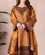 Pakistani Winter Dresses: A Guide for Expats in the USA