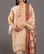 Pakistani Winter Dresses - Warm Season and Vibrant Colors
