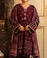 What are Some Famous Designs in Pakistani Winter Dresses?