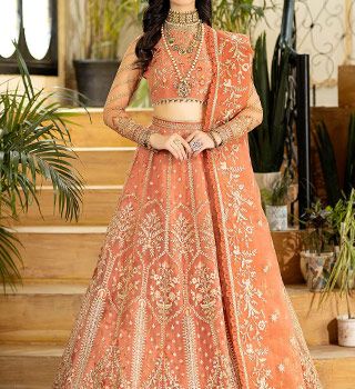  Imrozia Chiffon