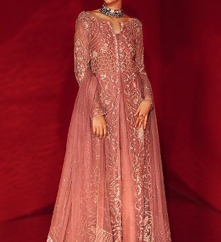 Rang Rasiya chiffon