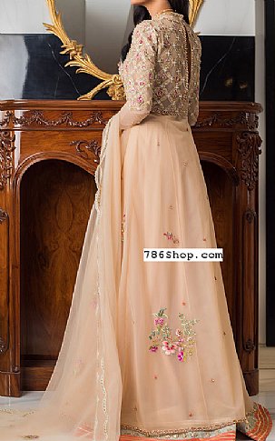  Light Golden Net Suit | Pakistani Party Wear Dresses- Image 2