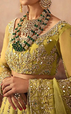  Lime Green Organza Suit | Pakistani Wedding Dresses- Image 3