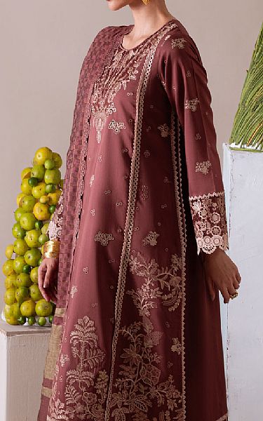 Aabyaan Redwood Viscose Suit | Pakistani Winter Dresses in USA- Image 2
