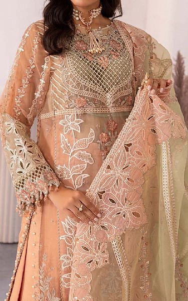 Adans Libas Peach Organza Suit | Pakistani Embroidered Chiffon Dresses USA- Image 2