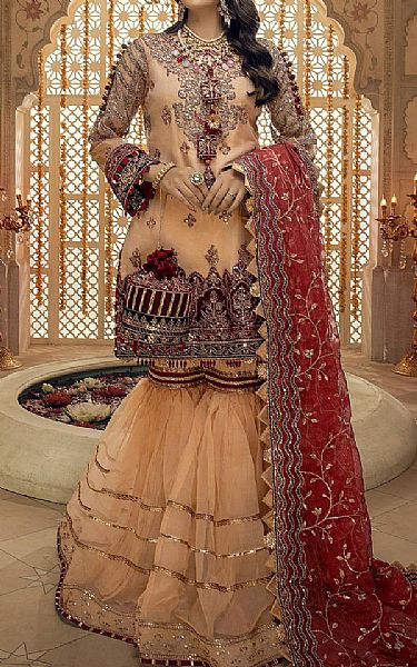 Tan Net Suit | Adans Libas Pakistani Chiffon Dresses