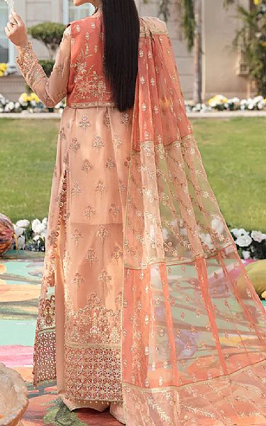 Peach Organza Suit | Afrozeh Pakistani Chiffon Dresses