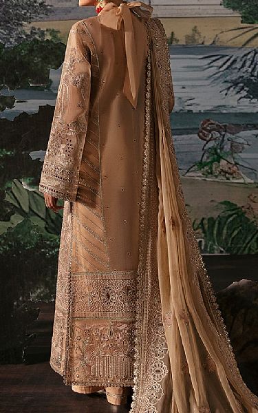 Afrozeh Tan Organza Suit | Pakistani Embroidered Chiffon Dresses USA- Image 2